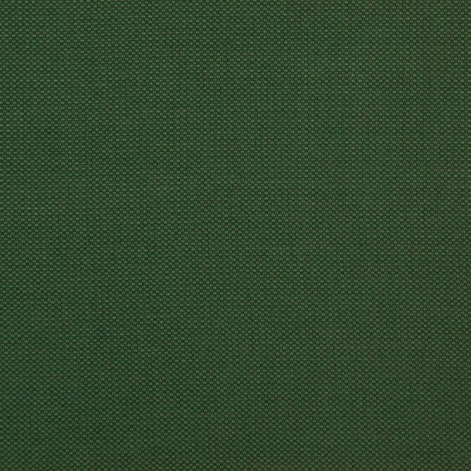 Maxwell Fabric TO6051 Tesseract Fern