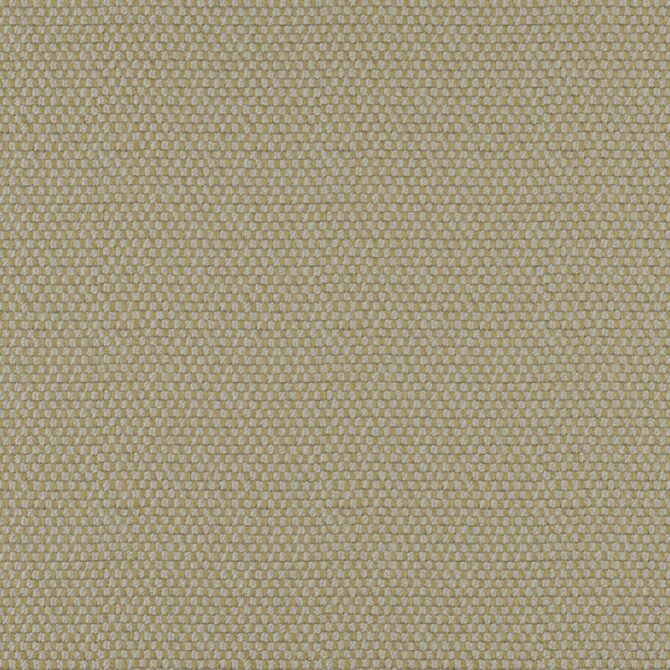 Maxwell Fabric TQ9613 Take Off Moss