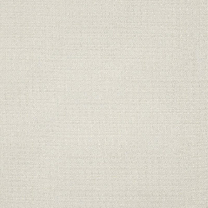 Maxwell Fabric SKO141 Stefano Ivory